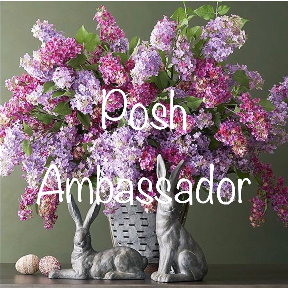 🌷🌷🌷